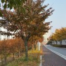 남서울컨트리클럽제2연습장 이미지