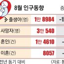 8월 출생아 1만 8000명대 추락… 합계출산율 0.7명 붕괴 위기 이미지