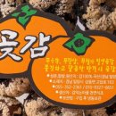 씨없는곶감마을 이미지