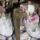 합동플라스틱 이미지