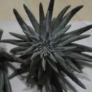 최성훈농장 이미지