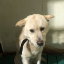 디디동물병원 이미지