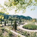 한여름 밤 낭만콘서트 이미지