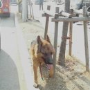 활보농장 이미지