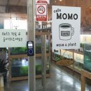 카페모모아쿠아플렌트