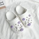 해피베어 이미지