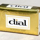 하단동1100 | [브랜드 역사] 다이알 비누로 유명했던, 동산유지