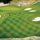 백호스크린골프 이미지