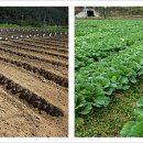 현농장2 이미지