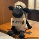 [일일양] 광명 일직동 맛집 이케아 코스트코 근처 광명역 양갈비 부모님 가족 식사 추천 솔직후기