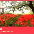 참사랑상사 이미지