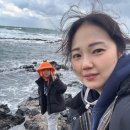 광성다방