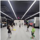 팀태권도 이미지