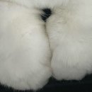 고양이 무마취미용 고미고미 화명점 이미지