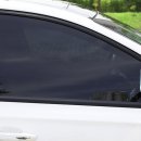 광선자동차나라 이미지