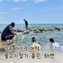 좋은곳 | 강릉 사천진해변 바위섬, 아이와 물고기 잡기 좋은 곳 후기