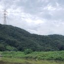 옥산제방 이미지