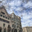 그린카사 | 가우디의 마법 속으로, 카사 바트요(Casa Batlló) 솔직 후기