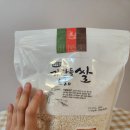 하이베리숲