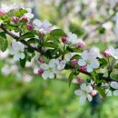 대간물농장 이미지