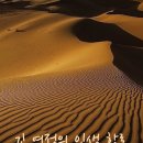 "인디언들의" 달력이 참재밌네요 이미지