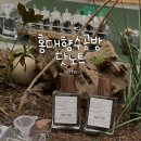 (원데이) 나를 표현하는 향수 | 🌿서울향수공방 후기｜조향사 없이 직접 만드는 홍대향수공방 닷노트 원데이 클래스 체험기✨