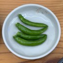 제주 은희네 해장국 | 속초 국밥 맛집 푸짐하고 맛있는 제주 은희네 해장국 다녀온 후기