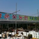 행운농원2