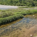 하추리민박 이미지