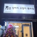 강아지고양이편의점 - 남구 용호로 220 | 강아지고양이편의점