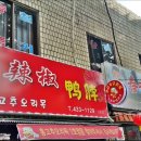 홍고추오리목 이미지