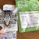 화원연합동물병원 | 대구에서 고양이중성화수술한 후기(화원연합동물병원)