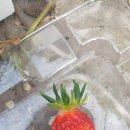 늘해랑농장 이미지