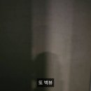 511더치커피 네이버블로그