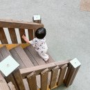 순하고 촉촉한 유아 로션 찾는다면 모두안 쌀로션 추천 두돌 아기 사용해본 후기