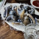 죽변항막회