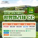 임페리얼CC(대중제) 이미지