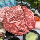 마장동 생고기 (응암점) 이미지