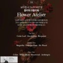 플러스82헤어 | 3종 2+1 할인 행사] 탈모 고민 끝! 리만코리아 보타랩 데저티콜라 플러스 샴푸·컨디셔너 실제 사용 후기