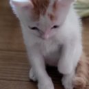 내린천 다락방 이미지