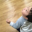 구구사
