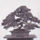 공간_空間