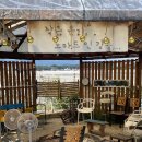 노마드인 강릉 이미지