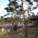 귀암 Daum카페