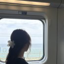 강원관광대우2 | 7월 묵호 2박 3일 여행🐬미유키말차, 대우장칼국수...어바웃, 카라멜스테이션, 물회맛집, 도째비골 솔직후기