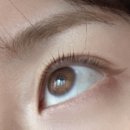 [울산 속눈썹펌] 내돈내산, 달동 본뉴에서 뷰러펌했어요! 내 눈썹 맞나 싶을정도로 바짝 올라간 속눈썹...