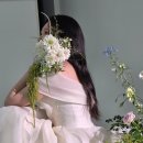 플레르바인 이미지