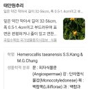 청화산 이미지