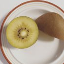 함라마트 이미지