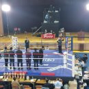 버팔로복싱짐 이미지